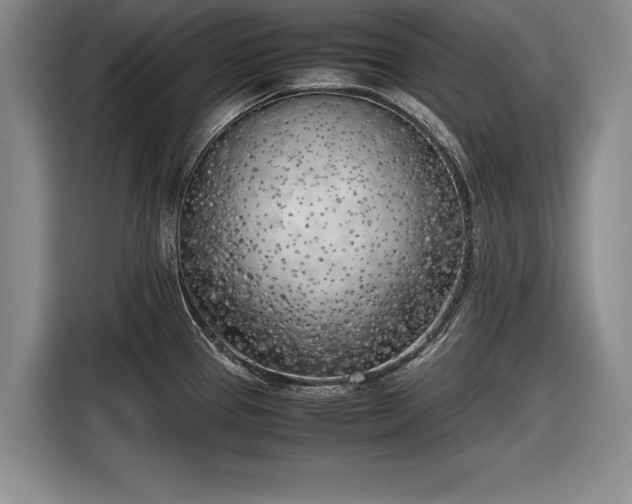 X0000116621337200912181257