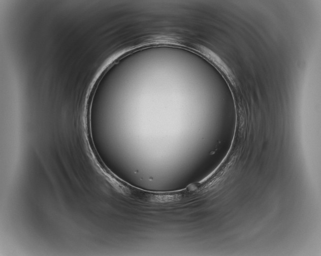 X0000116621339200912181257