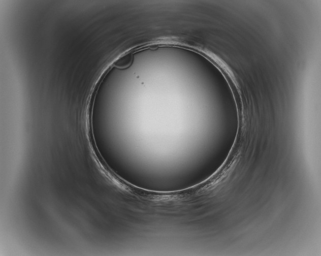X0000116621341200912181257