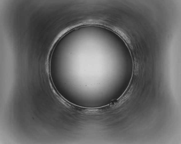 X0000116621342200912181257