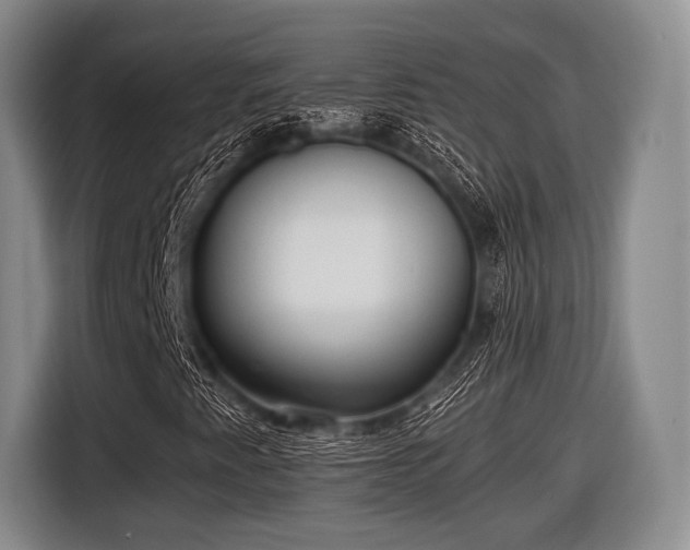 X0000116621345200912181257