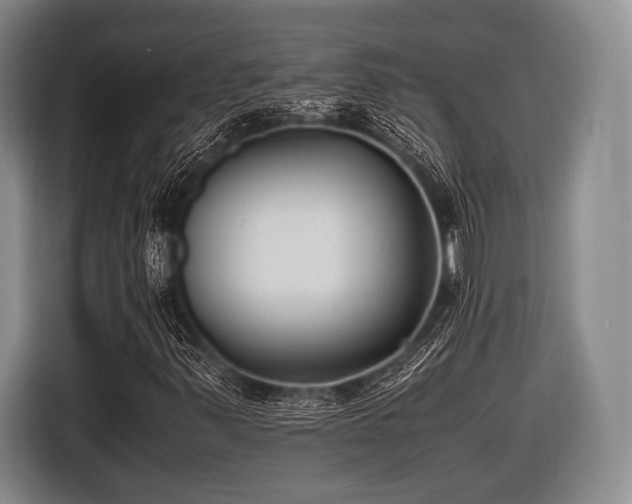 X0000116621347200912181256