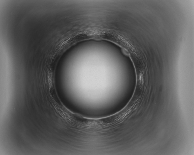 X0000116621348200912181256