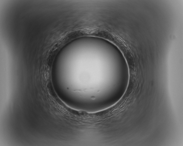 X0000116621349200912181256