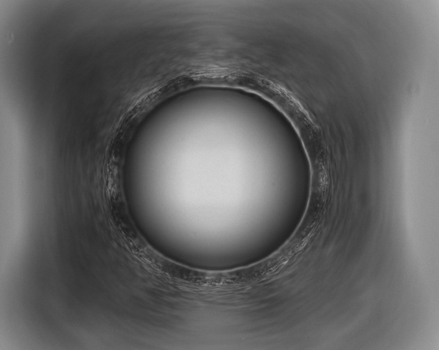 X0000116621350200912181256