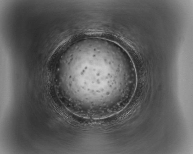 X0000116621351200912181256