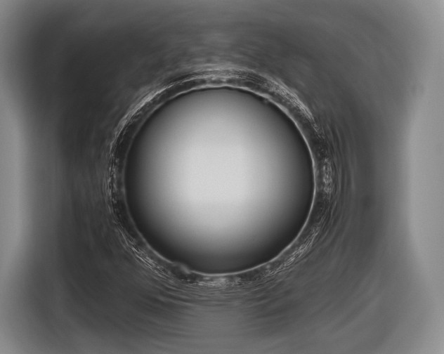 X0000116621352200912181256