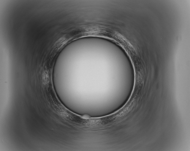 X0000116621353200912181256
