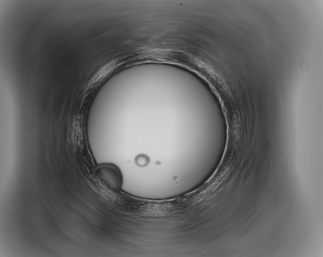 X0000116621354200912181256