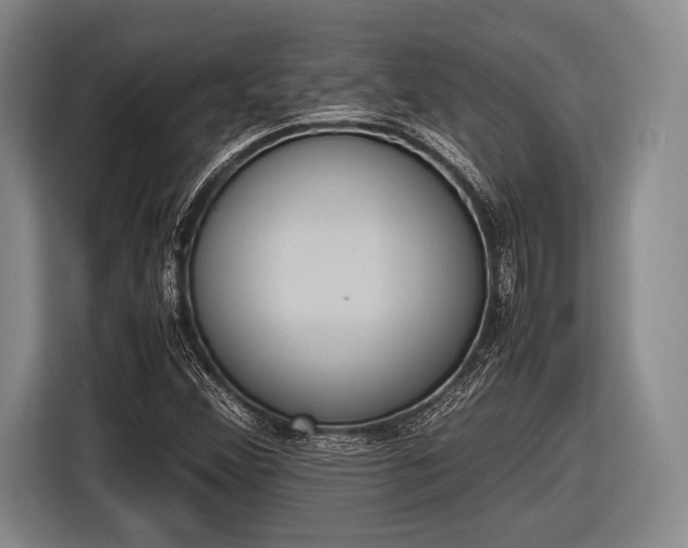 X0000116621356200912181256