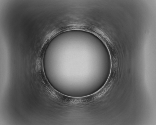 X0000116621357200912181256