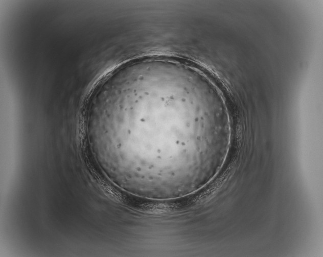 X0000116621359200912181256