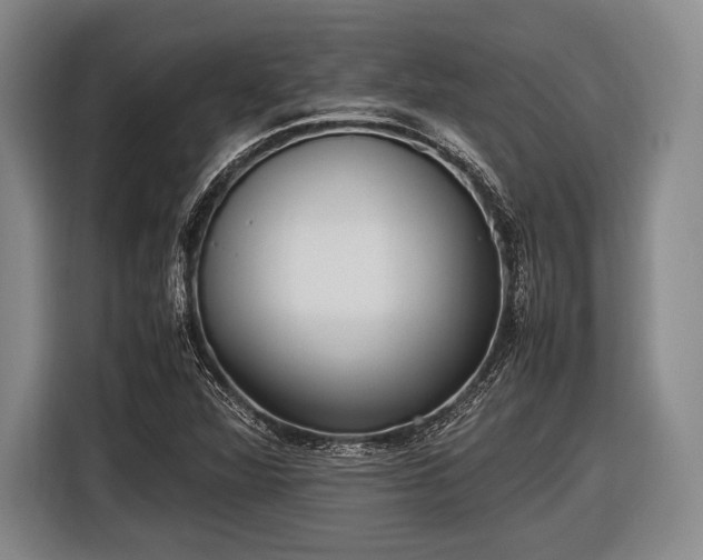 X0000116621360200912181256