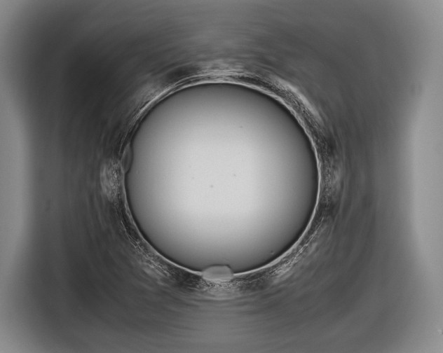 X0000116621361200912181256