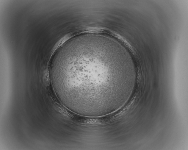 X0000116621362200912181256