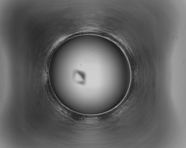 X0000116621363200912181256