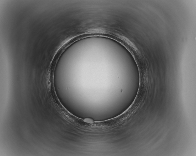 X0000116621364200912181256