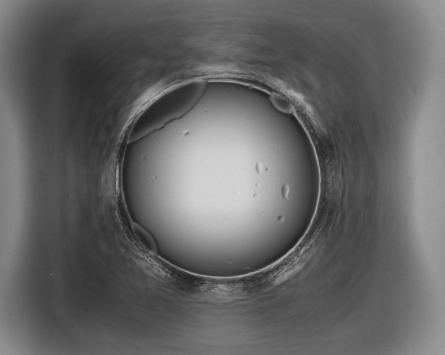 X0000116621365200912181256