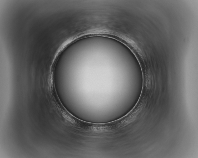 X0000116621366200912181256