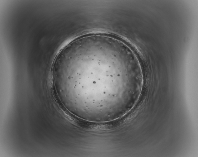 X0000116621367200912181256
