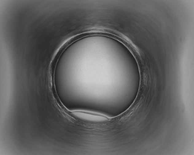 X0000116621368200912181256