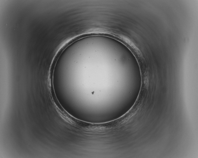 X0000116621372200912181256