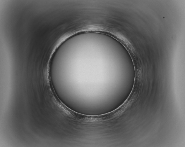 X0000116621374200912181256