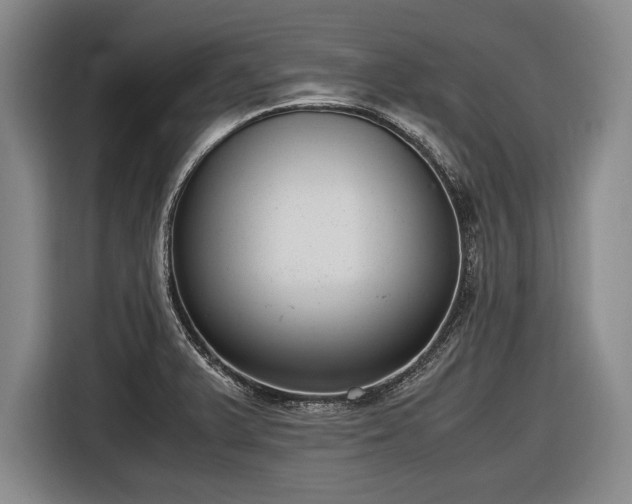 X0000116621375200912181256