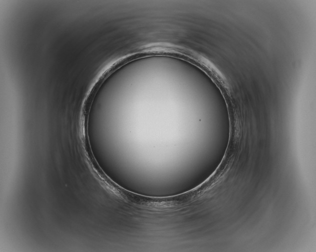 X0000116621376200912181256