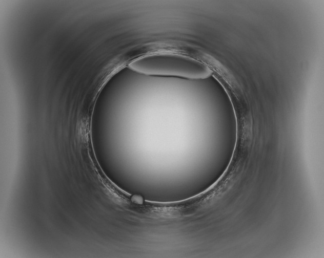 X0000116621377200912181256