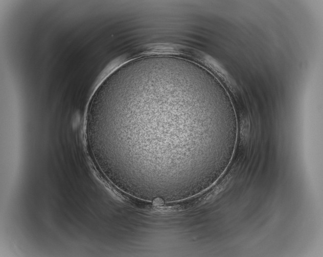 X0000116621378200912181256