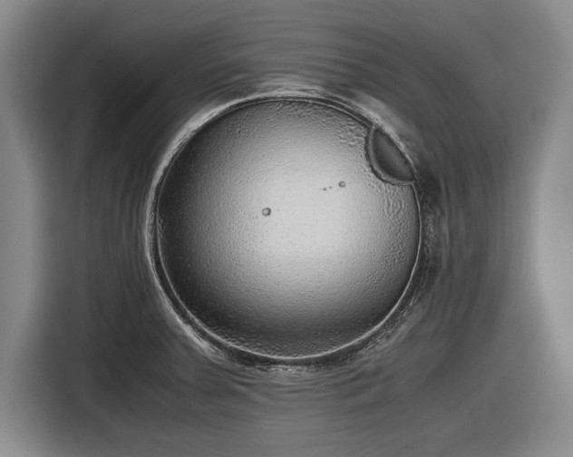 X0000116621379200912181256