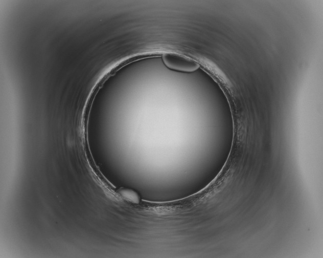 X0000116621380200912181256