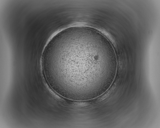X0000116621382200912181256