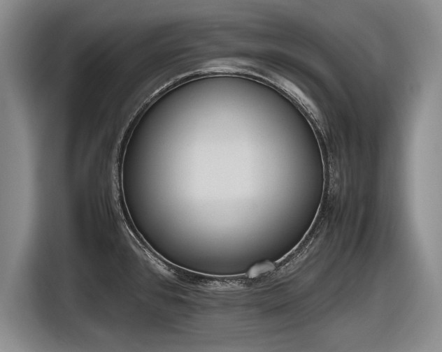 X0000116621384200912181256