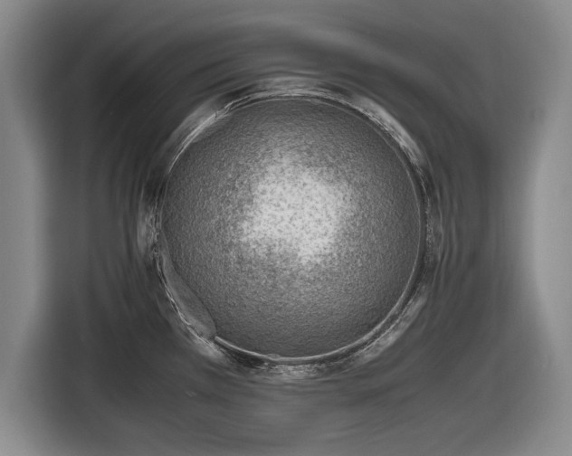 X0000116621385200912181256