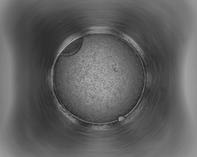 X0000116621386200912181256