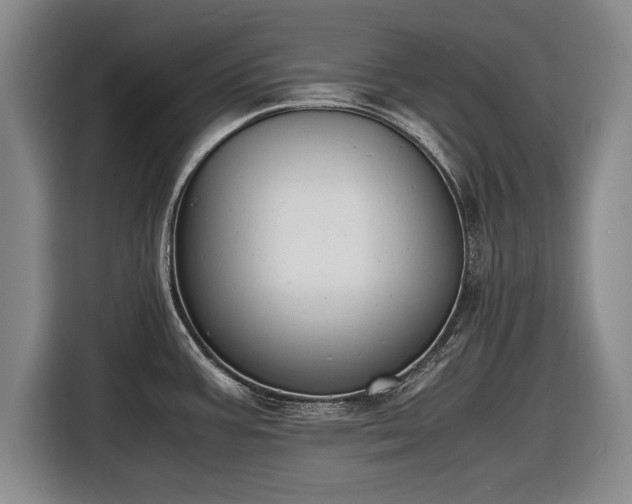 X0000116621387200912181256