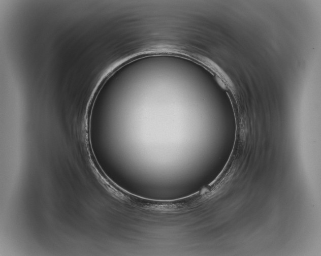 X0000116621388200912181256