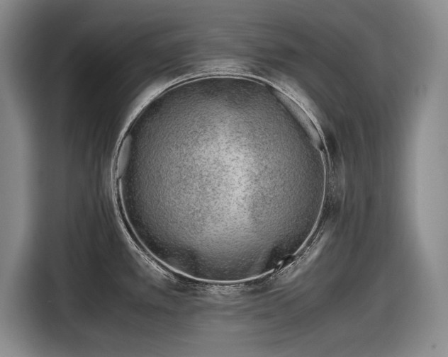 X0000116621389200912181256