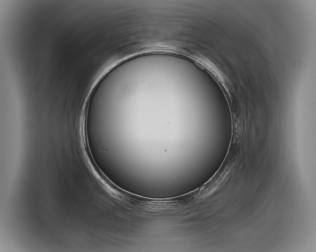X0000116621391200912181256