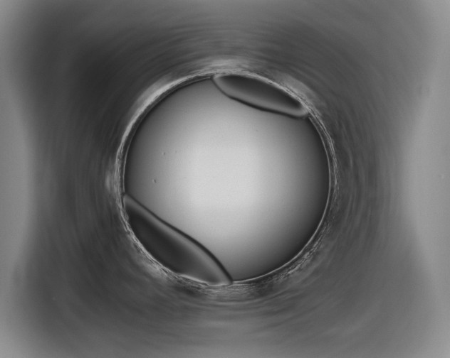 X0000116621392200912181256