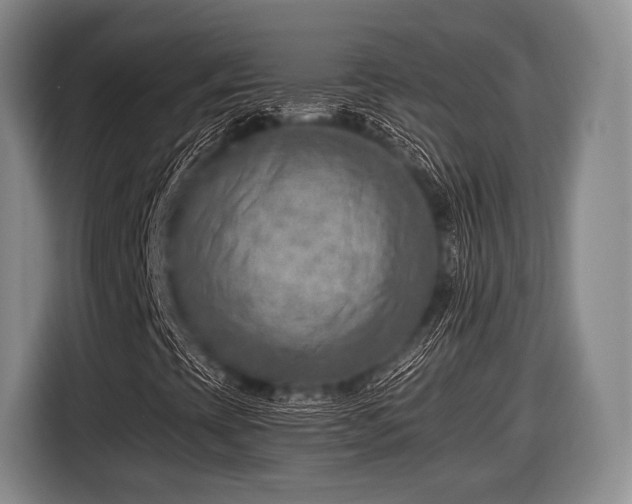 X0000116621393200912181255