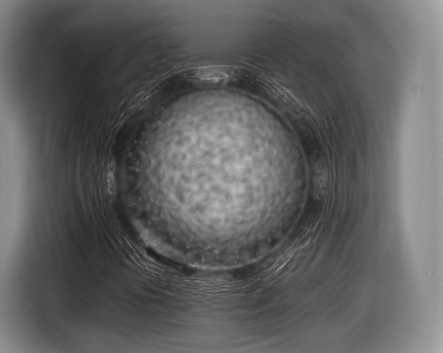 X0000116621394200912181255