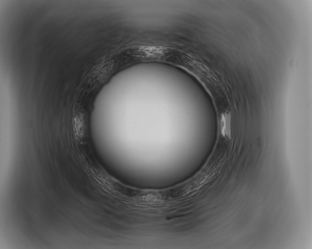 X0000116621395200912181255