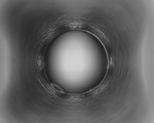 X0000116621396200912181255