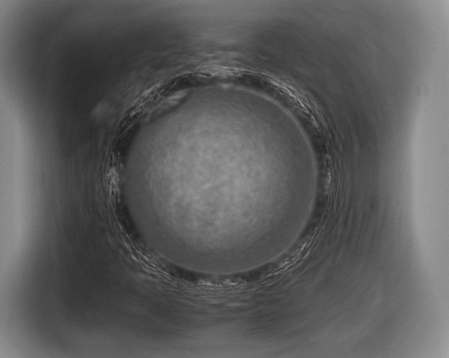 X0000116621397200912181255