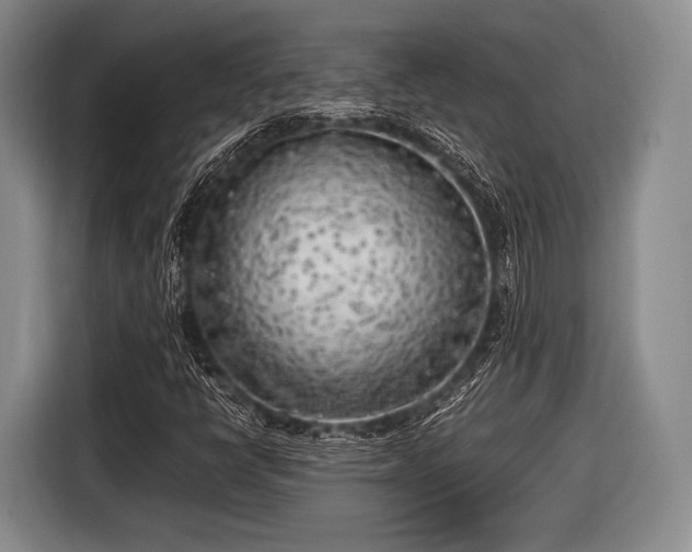 X0000116621398200912181255