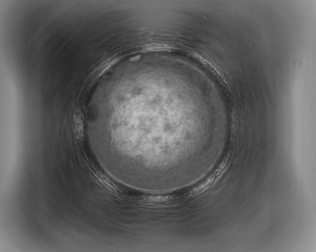 X0000116621401200912181255