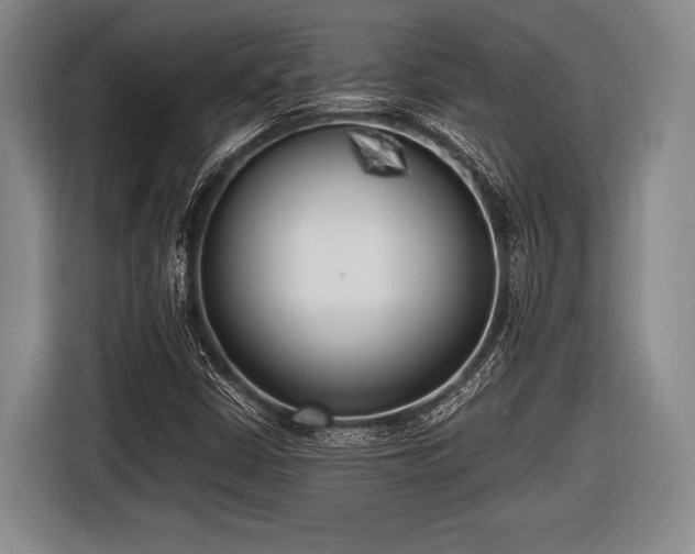 X0000116621402200912181255